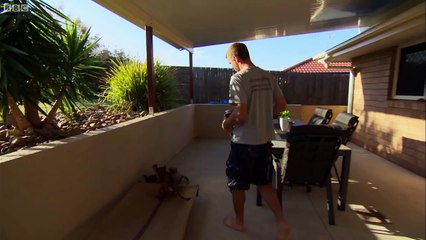 Living With Tiger Cubs - Tigers About The House