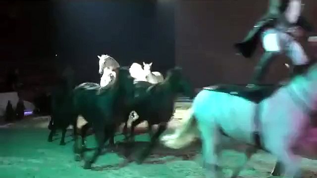 Avignon : revivez la magie du spectacle équestre