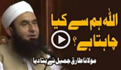 ALLAH Hum Se Kya Chahta Hai - Maulana Tariq Jameel Bayan