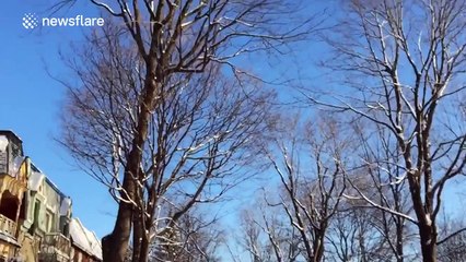 Bubble freezes and bursts in majestic slow motion