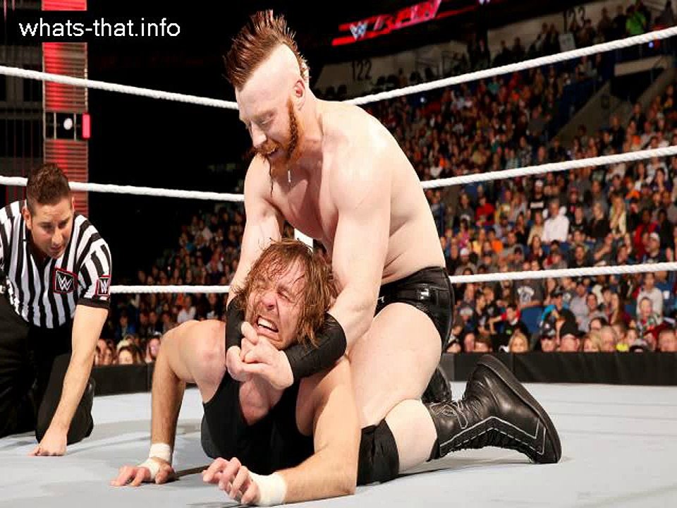Top 11 WWE Wrestlers 2016