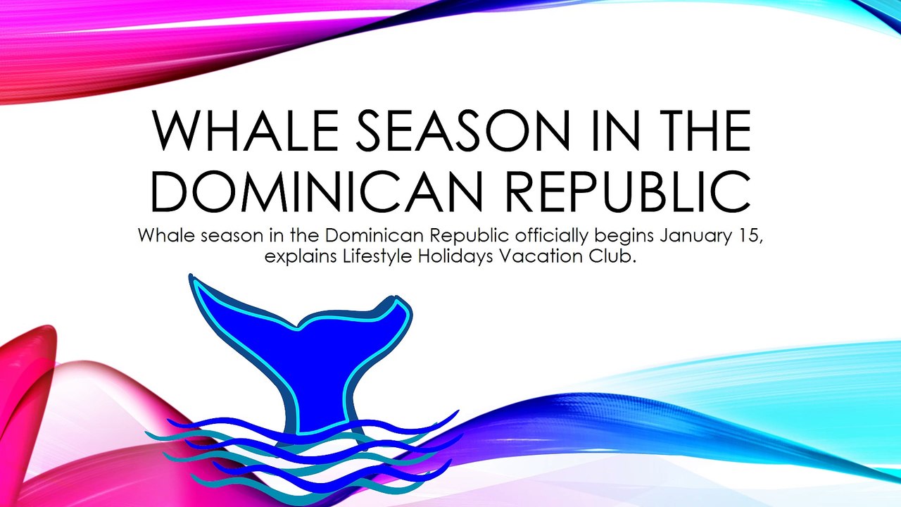 Lifestyle Holidays Vacation Club Announces Whale Season In The Dominican Republic
