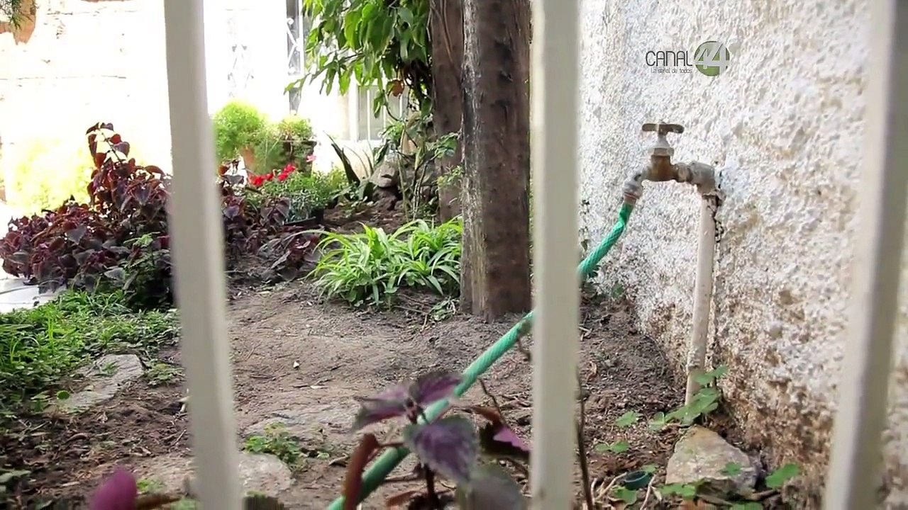 Código Verde - Agua