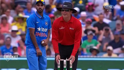 Umpire laid low by Finch blow