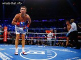 Top 10 Boxers 2016 - Did you Watch Them?