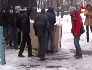 ロシア・ノヴォシビルスク動物園のシルカが同園を出発しモスクワ経由で日本へ (Mar.25 2015)