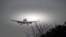 Storm!! Turkish Airlines Boeing 777-300ER Crosswind Landing at Narita  Video Arts
