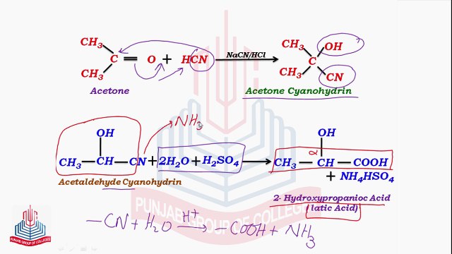 Reactions of Carbonyl Compounds ( Addition of Hydrogen Cyanide , Addition of Grignard Reagents & Addition of Sodium Bisulphite)