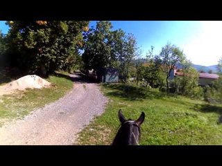 Hay's for Horses   Minecraft Animation   Slamacow