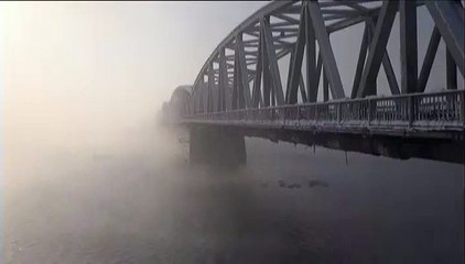 Roumanie : des cygnes pris dans la glace lors de leur migration vers le sud de l'Europe