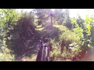 Horses' First Meeting my crazy squealing Arabian funny