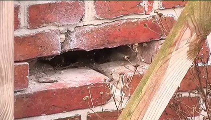 NAM trekt btw af bij aankoop panden - RTV Noord