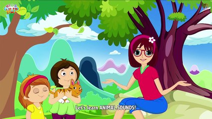 Animal Sound for Children   Goat Sound, Camel Sound, Pig Sound   Kids Hut