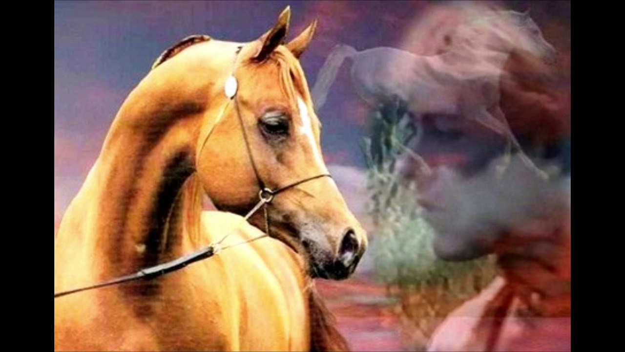 Les souvenirs ne meurent jamais..