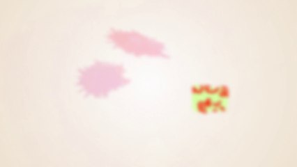 Hunt begins for greater election Candidates