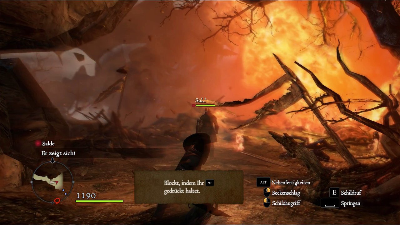 Arch Linux : Dragons Dogma Dark Arizen [mesa 11.2.0-devel + wine-gaming-nine 1.9.0 (AUR)]