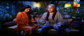 Mr Shamim Episode 43 HUM TV Drama 09 Jan 2015