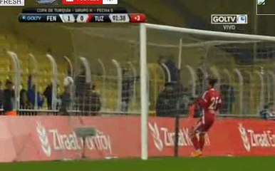 Lazar Markovic Goal - Fenerbahce 1 - 0 Tuzlaspor - 21/01/2016