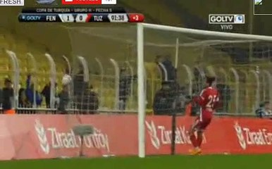 Lazar Markovic Goal - Fenerbahce 1 - 0 Tuzlaspor - 21_01_2016