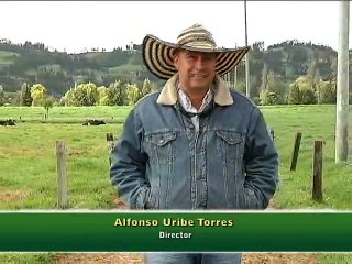 31 de diciembre de 2015 Alimentación en equinos y bovino