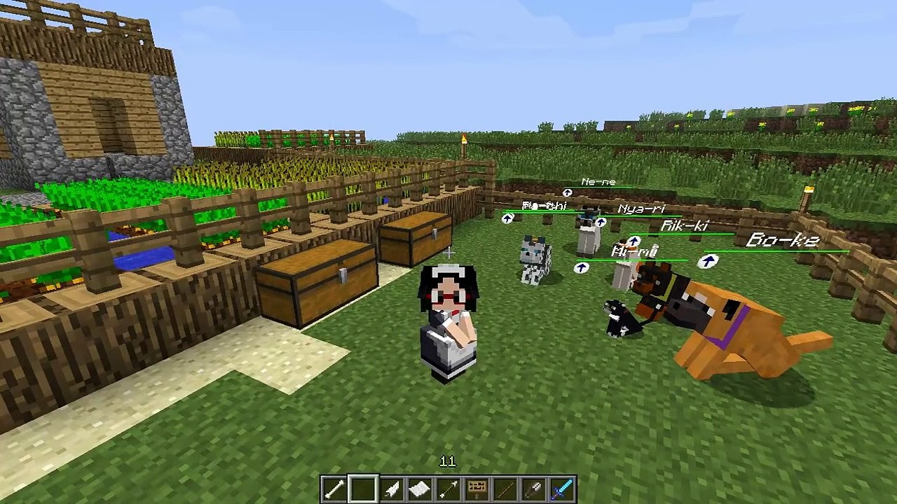 Dog Cat Plus Mod Mod Review En 1 5 2 Dailymotion Video