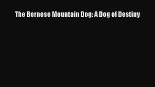 [PDF Download] The Bernese Mountain Dog: A Dog of Destiny [Read] Online
