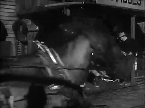 Buffalo Stampede (1933) Randolph Scott, Full Length Western Movie