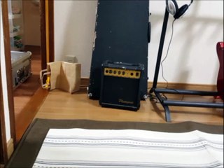 Cat Appears Instantly on Cue