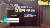 [MR / 노래방 멜로디제거] 십 년이 지나도 - FLY TO THE (KY Karaoke No.KY48583)