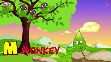 Learn Alphabets from K to O   Alphabet Journey   Kids Hut