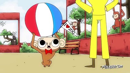 CURIOUS GEORGE OF THE APES