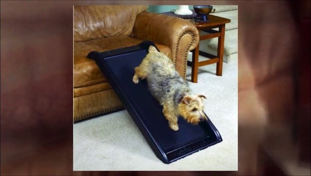 Pet Steps, Ramp, Strollers | HelpingPetsSteps.com