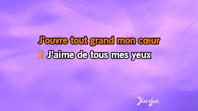 Karaoké Je naurai pas le temps - Michel Fugain *