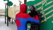 Little Spiderman & Black Spiderman Vs Red Spiderman - Real Life Superhero Snow Ball Battle