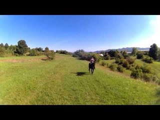 Horses brush teeth too vine by Kayla M funny vines, best vine, vine