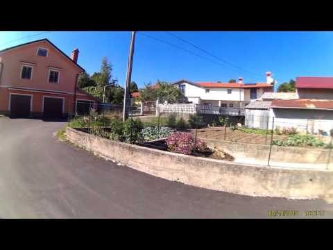 Animals mating Horse mating, Donkey mating & Funny horse compilation 2015 HD Part22