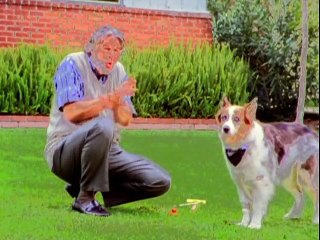 100 Deeds For Eddie McDowd - Season 2 - Episode 2 - Homeward Hound - Part 2