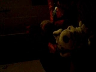 zoubi et cocci en folie