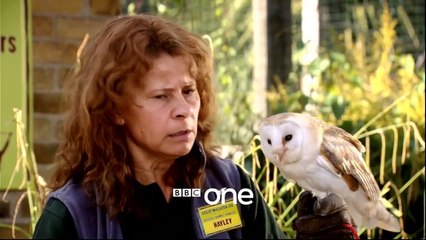 Tracey Ullmans Show: Launch Trailer - BBC One