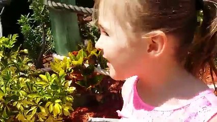 Kids Swimming in The Pool - Funny Prank - Girls Beach Fun - Baby Swim