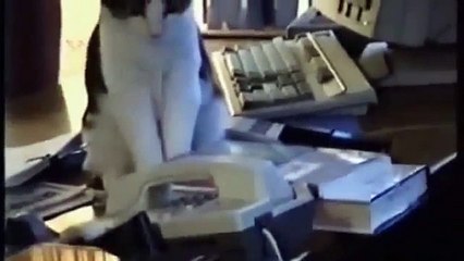 Lustige Katzen Videos Zum Totlachen 2014 [CUTEST, BEST, NEW, FUNNIEST] #75
