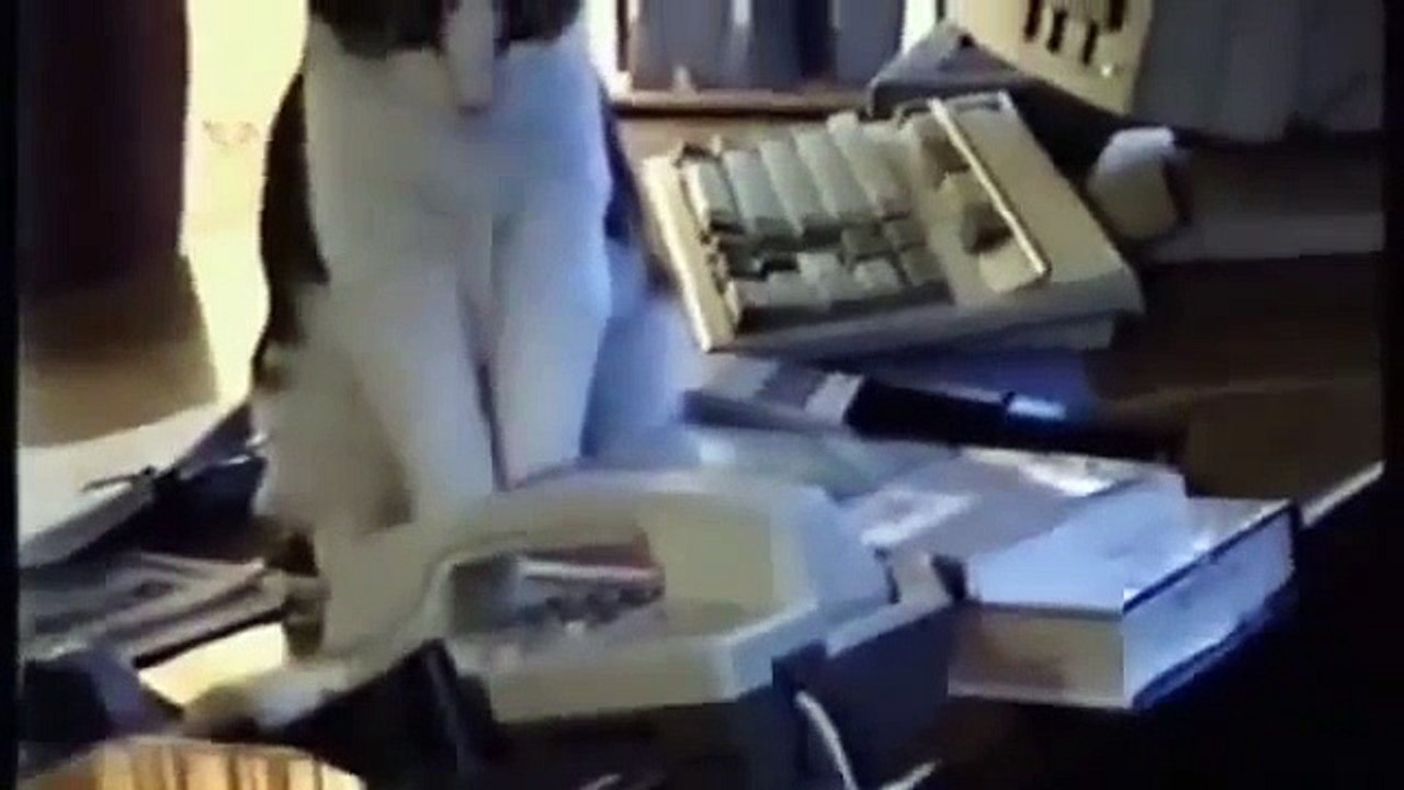 Lustige Katzen Videos Zum Totlachen 2014 [CUTEST, BEST, NEW, FUNNIEST] #75