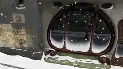 Alma  Pixar short - Kirsebaer Animation Music