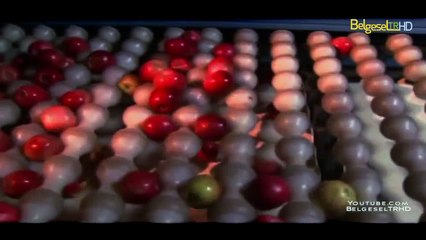 Nasıl Yapılır-Discovery-Türkçe Dublaj-Full Tek Parça-18.Bölüm