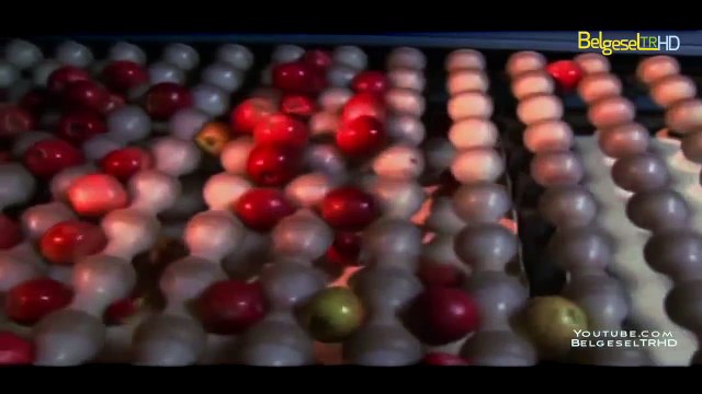 Nasıl Yapılır-Discovery-Türkçe Dublaj-Full Tek Parça-18.Bölüm