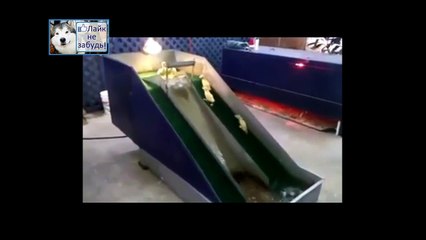 Маленькие утята и горка спуск