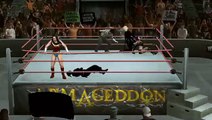 WWE SmackDown vs. RAW 2010 wonder woman fight 2