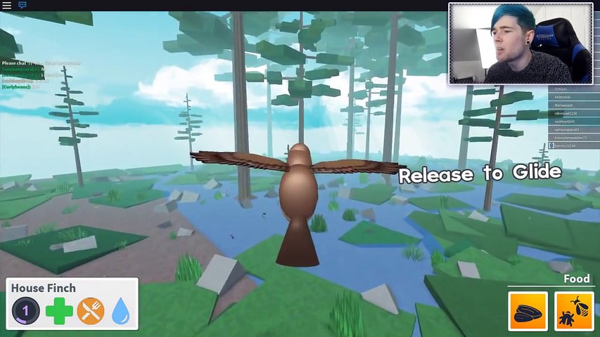 Bird Simulator Roblox