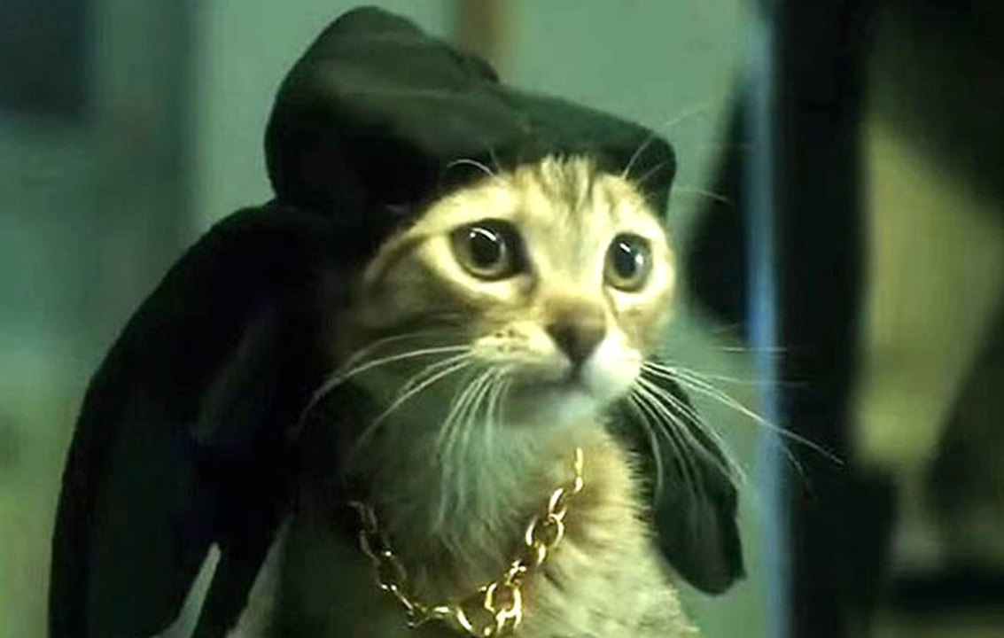 Keanu Red band Trailer