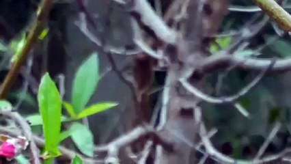 THỊNH VƯỢNG HOUSE - CỔNG NHÔM ĐÚC CÔNG NGHỆ NHẬT BẢN